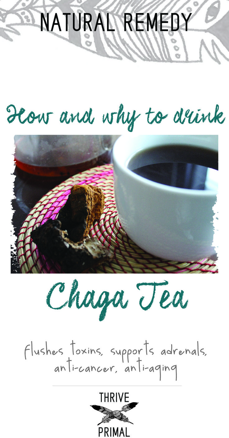 chaga mushroom tea instructions