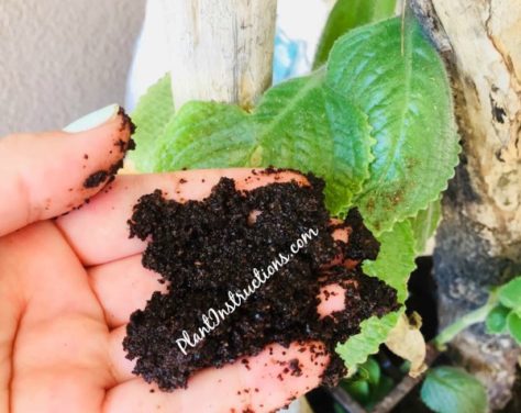 how much coffee grounds to use in soil instructions