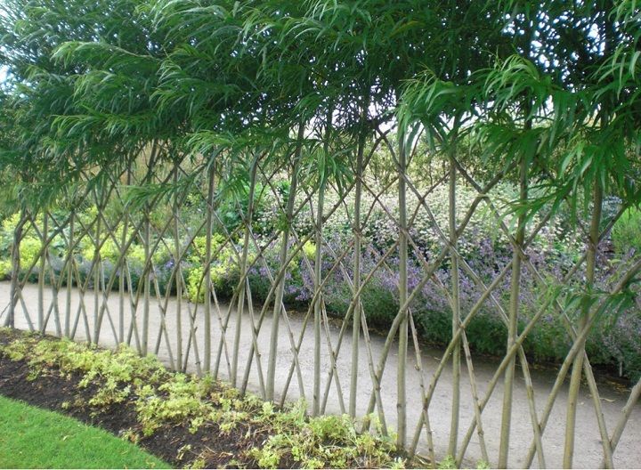 living willow weaving instructions